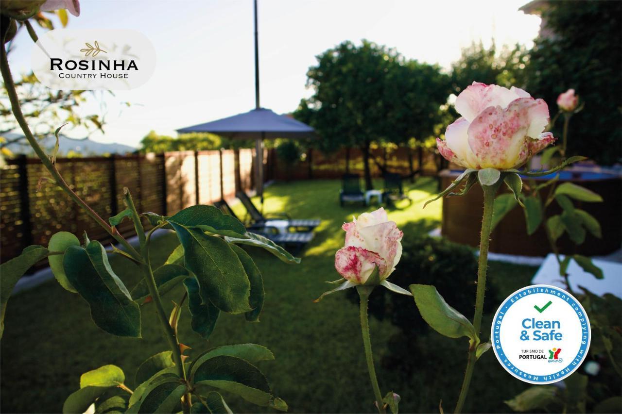 Rosinha Country House Vale de Cambra Exterior foto