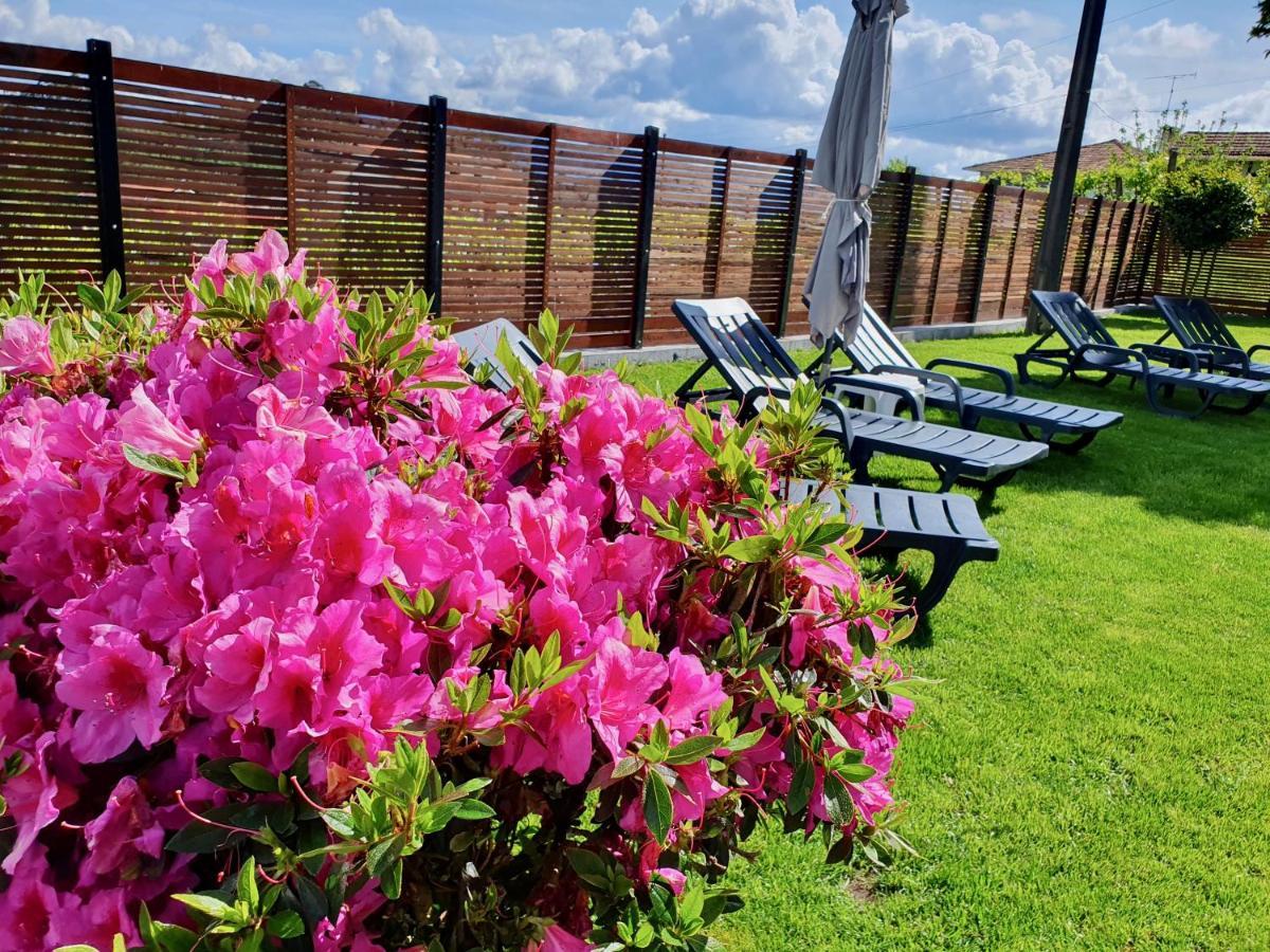 Rosinha Country House Vale de Cambra Exterior foto