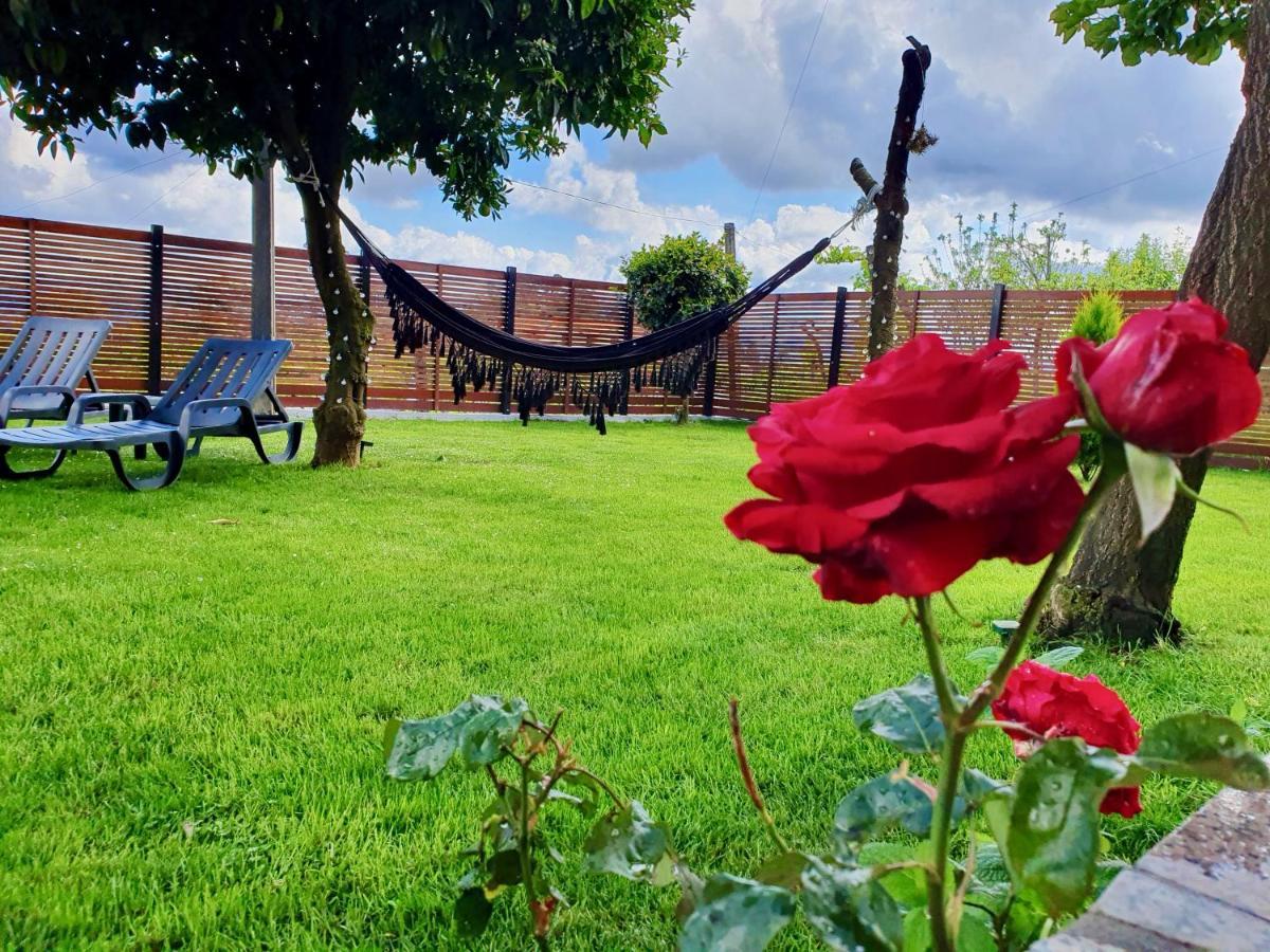Rosinha Country House Vale de Cambra Exterior foto